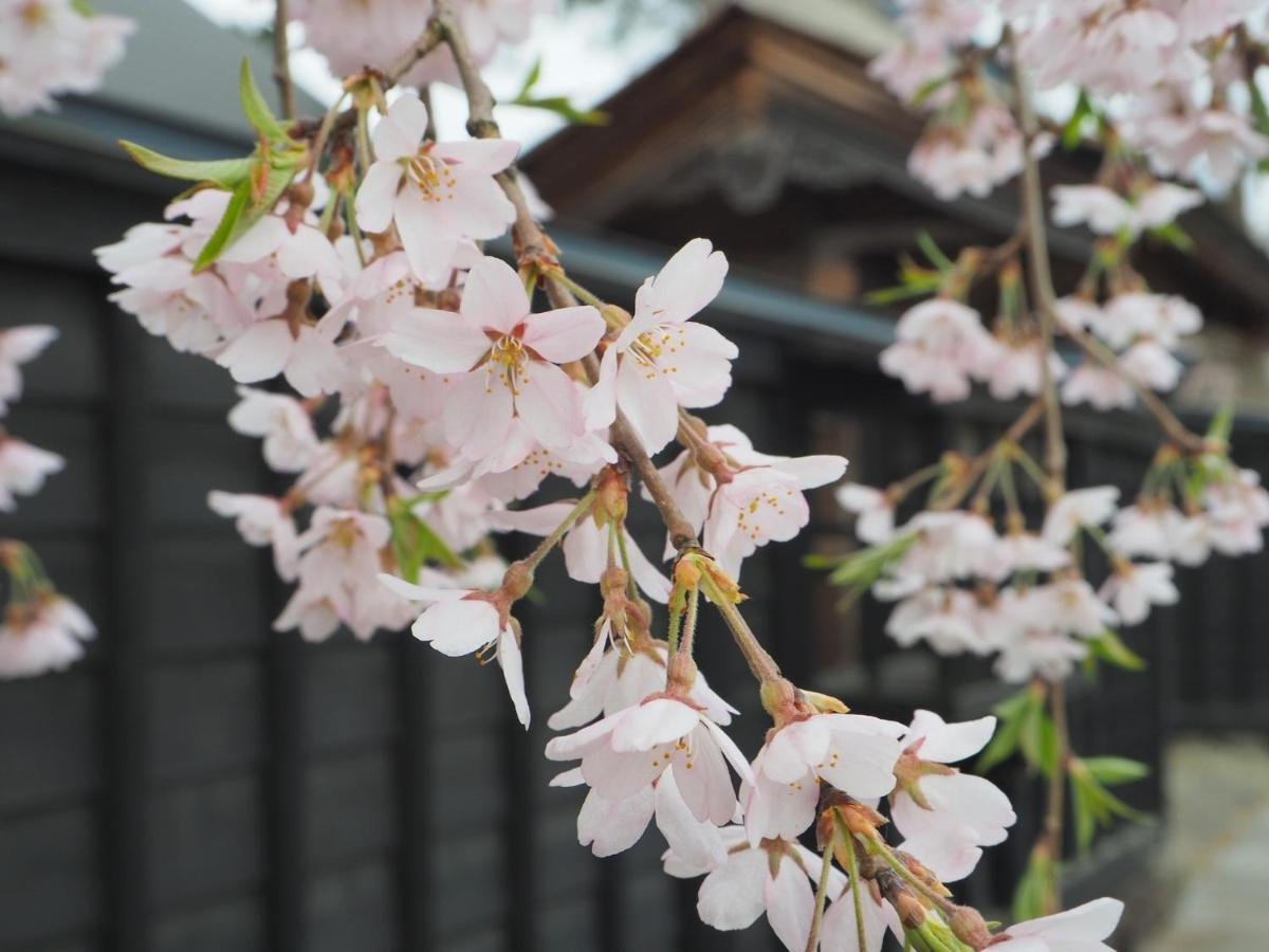 Tamachi Bukeyashiki Hotel - Vacation Stay 20163V Daisen  Exterior foto